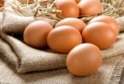 تخم مرغ ارزان از شنبه راهی بازار می شود