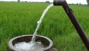 استفاده از آب شرب در برخی از روستاهای گیلان برای آبیاری مزارع