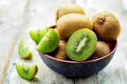 صادرات کیوی گیلان به برزیل برای نخستین‌بار