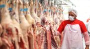 وعده ارزانی گوشت محقق نشد