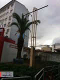 برگي ديگر از خلاقيت شهرداري رشت
